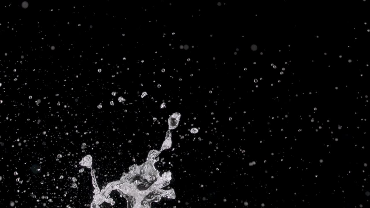 물이 올라오고 있습니다.