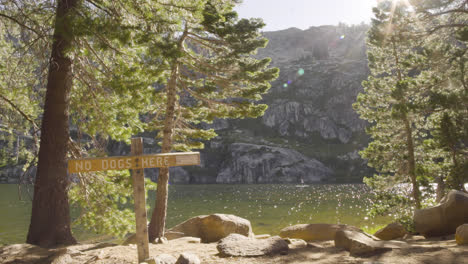 exterior establishing shot of a no dogs allowed sign in front of a beautiful alpine lake with sunlight coming through the trees and a cliff in the background