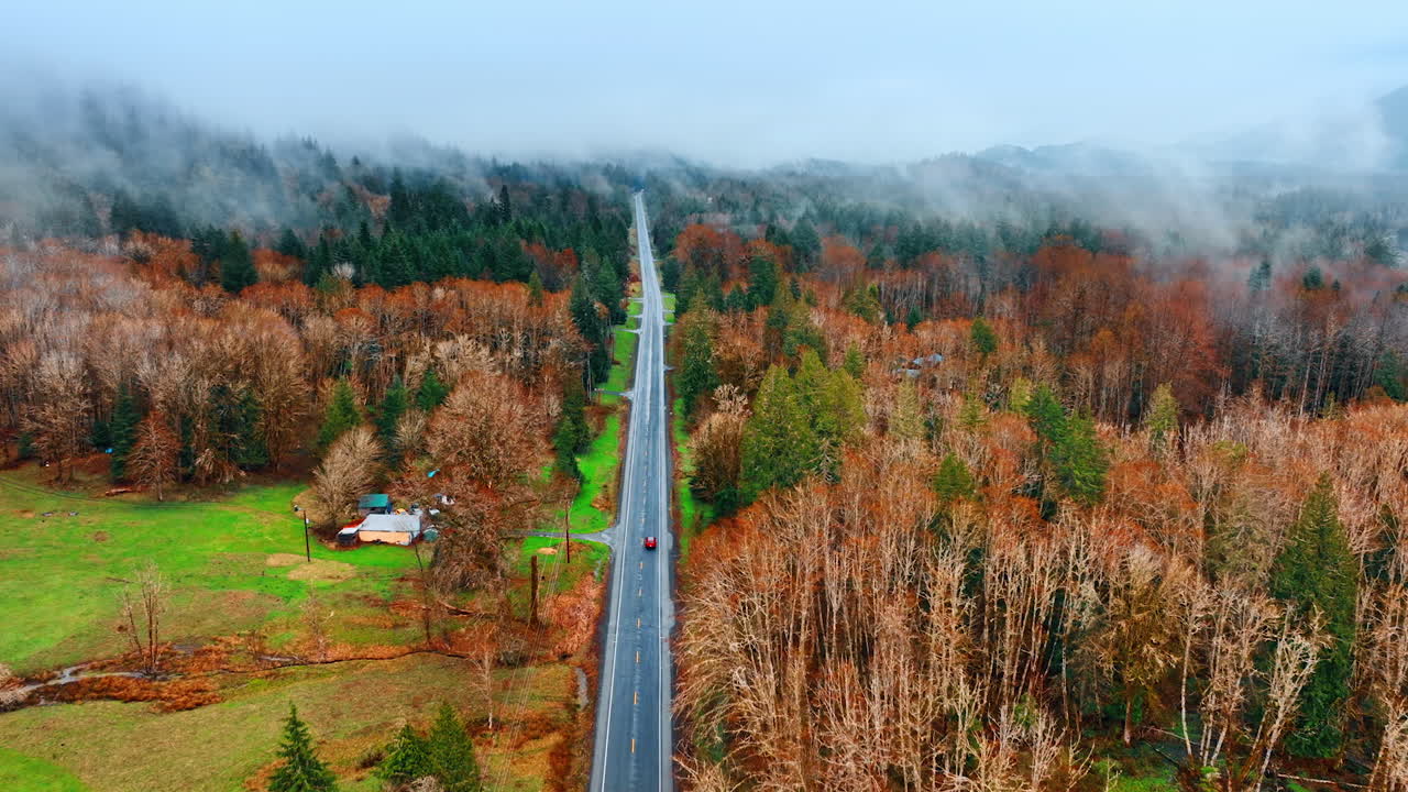 Flying above the straight asphalt road following the red car riding by it. Top view on the countryside with pine-tree forests covered with fog.