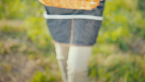 Bauer-Zeigt-Einen-Korb-Mit-Reifen-Kirschen