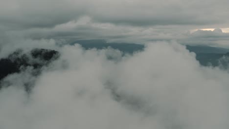 drone aéreo volando sobre el bosque nuboso, paisaje nublado y brumoso