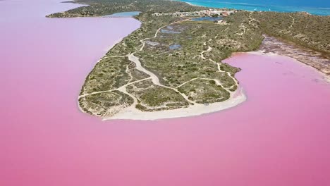 Toma-Aérea-Del-Lago-De-Agua-Rosa-Con-El-Océano-Azul-En-El-Fondo,-Inclinado-Hacia-Arriba