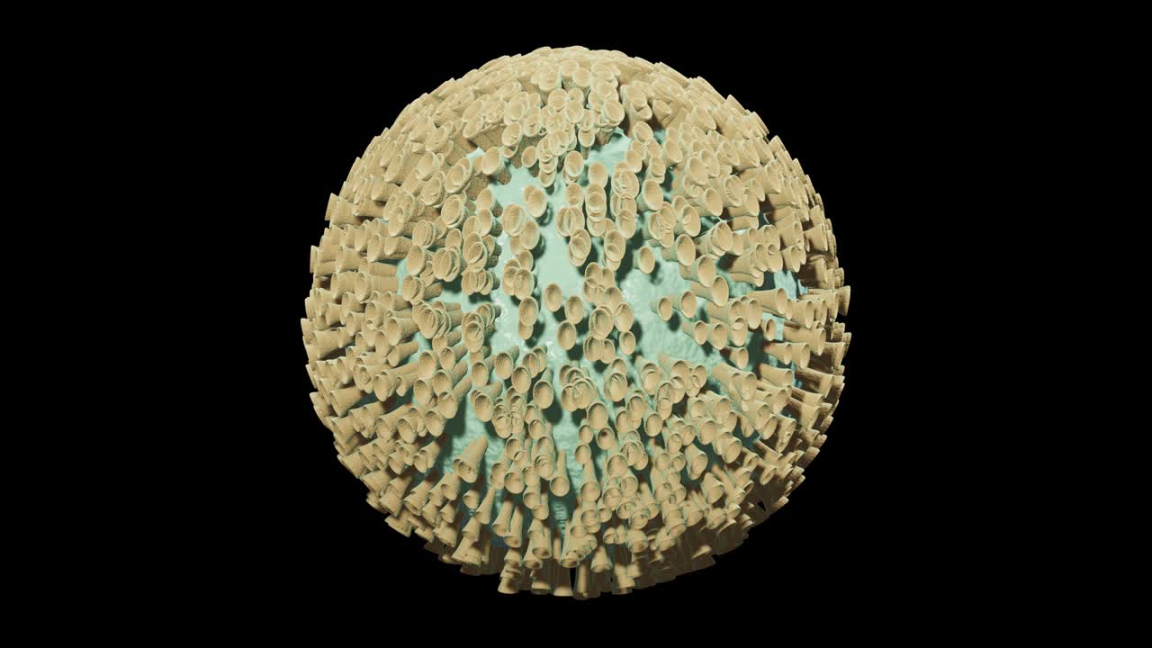 고립된 코로나 바이러스는 알파와 루프를 가진 투명한 4k에서 박동하고 움직입니다.