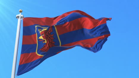 bandera de la ciudad de szczecin, polonia. bucle
