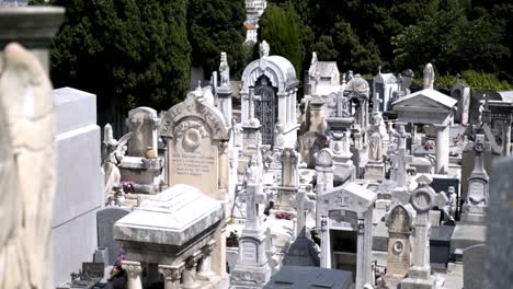 old cemetery in europe