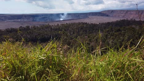 handheld shot booming up from wild grass in the foreground to the smoking kilauea volcano in the background on the big island of hawaii