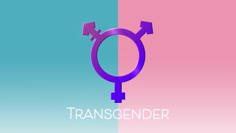 Animation-of-text-transgender,-with-purple-transgender-symbol-on-pink-and-blue