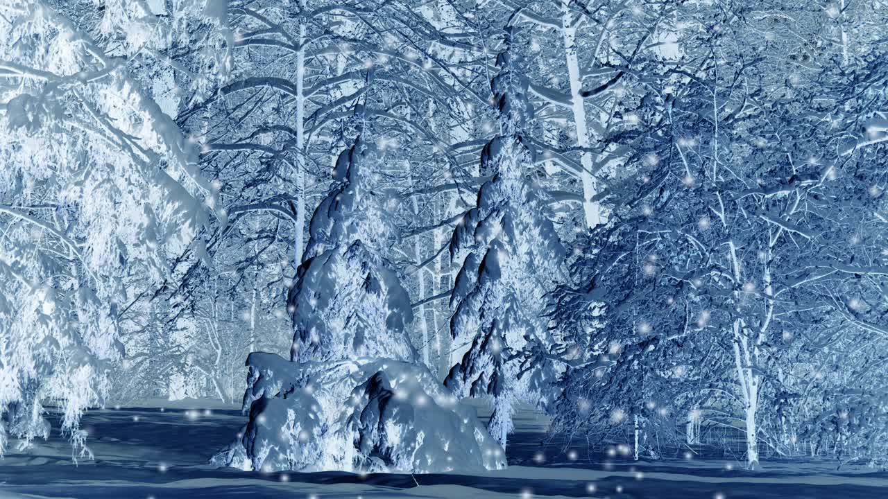 겨울에 밤에 눈에 인 숲의 나무들.