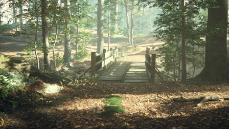 Alte-Holzbrücke-über-Einen-Kleinen-Bach-In-Einem-Park