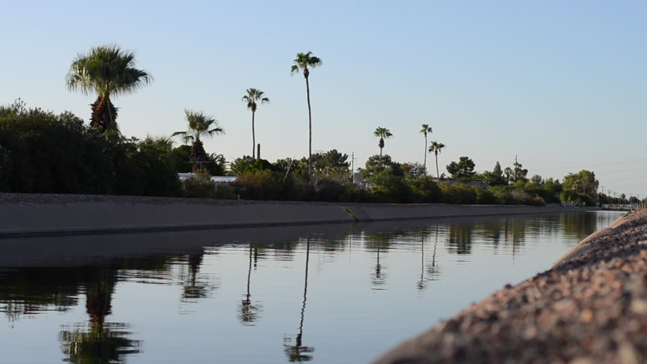 Palm Trees Reflect off Canal