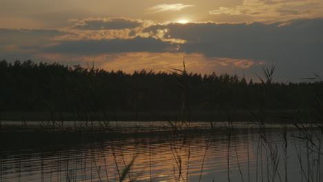 breathtaking sunset over calm lake with golden light reflecting on the water. silhouetted reeds sway gently in the foreground.
establishing shot.