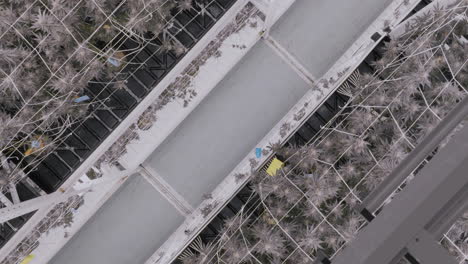 Circling-shot-above-Cannabis-plantation,-Rows-of-Marijuana-plants-in-Greenhouse