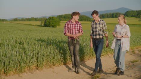 tres agricultores caminan por el camino del campo discutiendo los cultivos