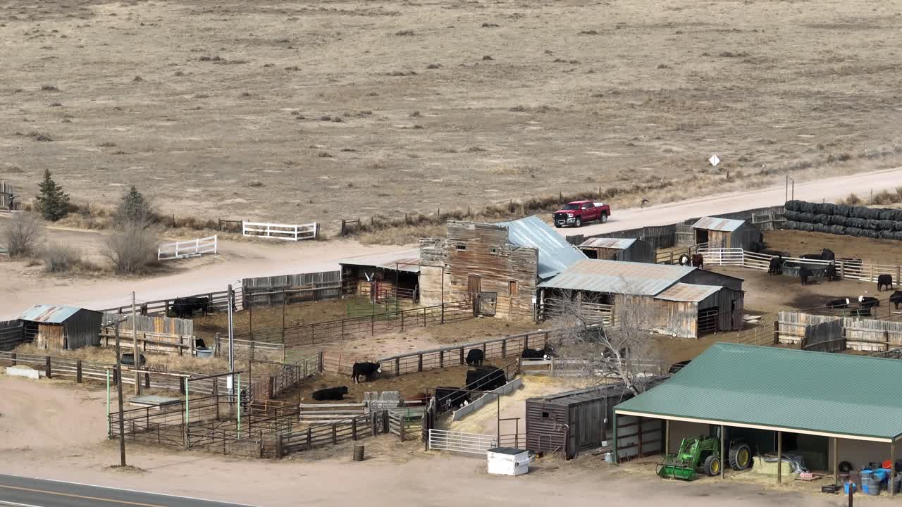 Ranch Purcell, siccità del 2026, strade sterrate con polvere e bestiame nei recinti