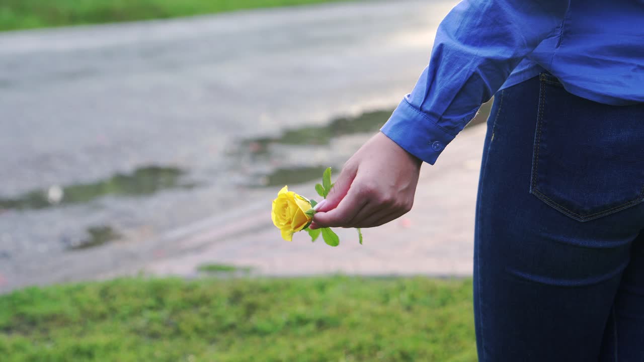 A small yellow rose in the girl's hand on the background of the road