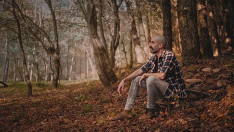 young hipster in blue shirt sits on wooden stair in forest. he marvels at nature’s beauty. warm and relaxing clip