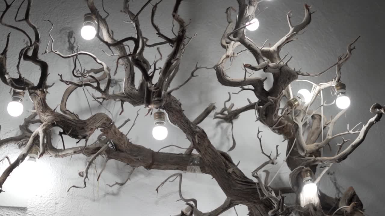 Rustic Driftwood Chandelier with Edison Bulbs