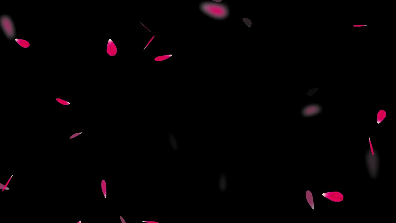 Gentle rose petals drift down softly, like whispers of love, swirling in the breeze and painting the air with fleeting beauty and delicate grace.