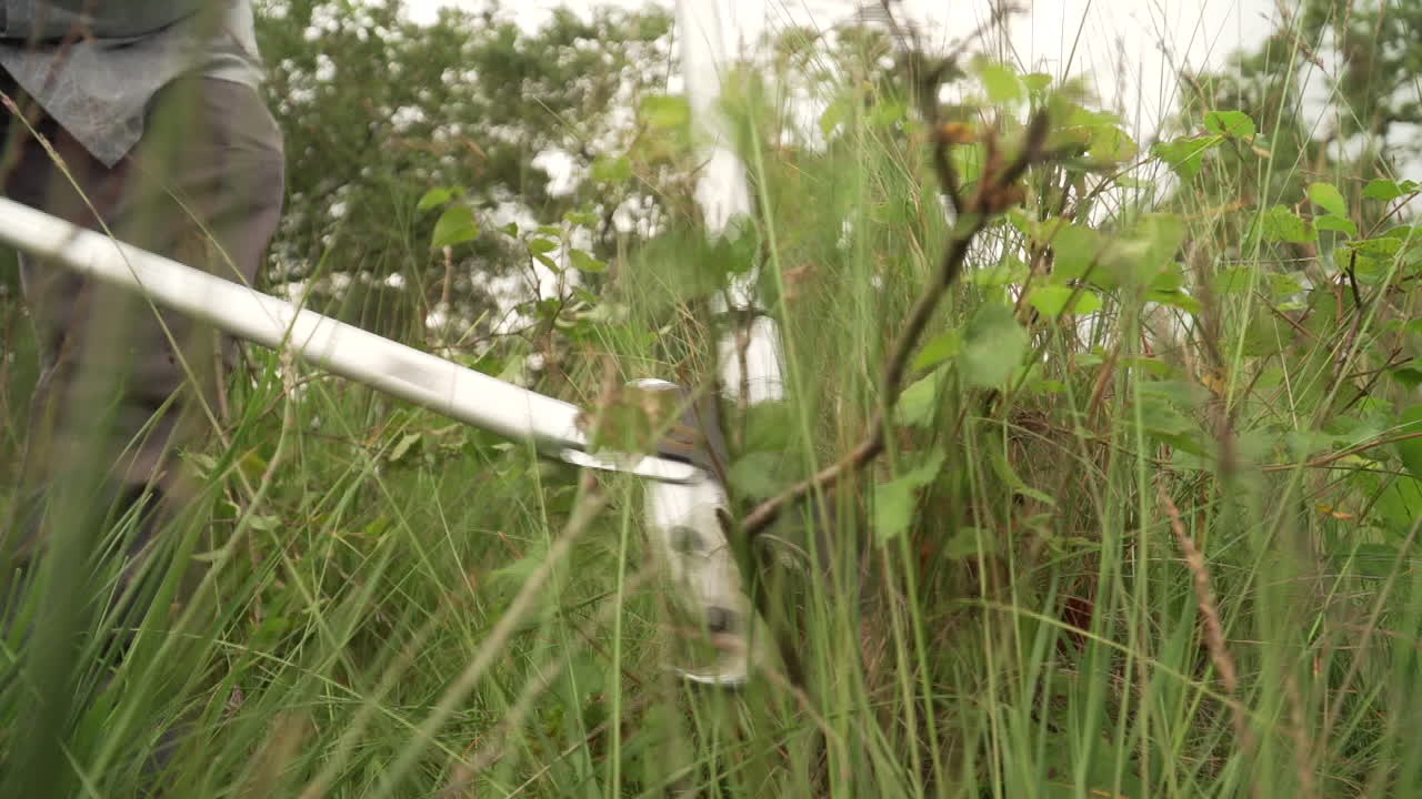 누군가 큰 가지치기로 풀밭에서 작은 덤불을 자르고 있습니다.