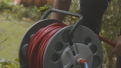 gardner struggles to ravel the coiled length of water hose