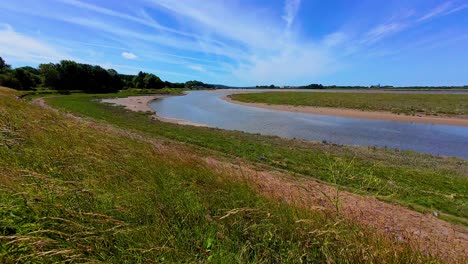 slow motion long grass blowing gently in wind with loughor estuary in background with river flowing towards the sea with trees in background