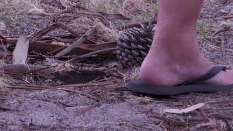 a person walking past two pine cones laying in the dirt with flip flops, thongs