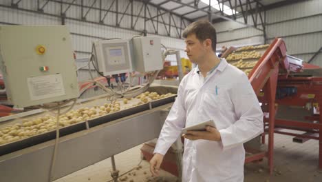 Food-engineer-inspecting-and-analyzing-potatoes-going-on-conveyor-belt.