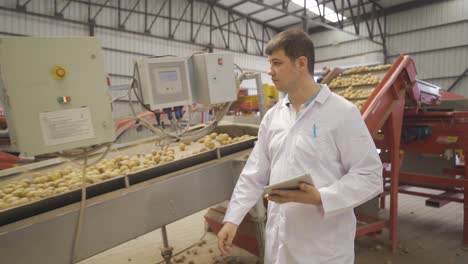 ingeniero de alimentos inspeccionando y analizando patatas que van en cinta transportadora.