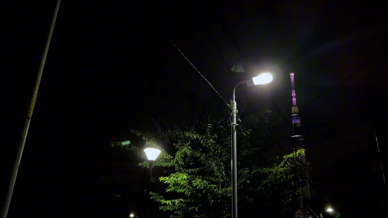 las luces de la calle iluminan un parque por la noche con una torre iluminada en la lejanía en el fondo