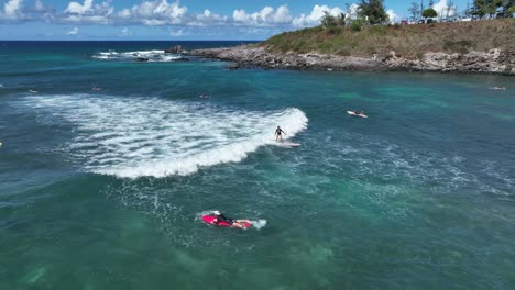 beautiful woman surfer catches a wave at ho'okipa beach in maui, hawaii