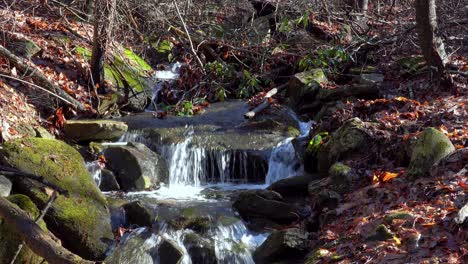 Nebenfluss-Im-Steingebirgsstaatspark,-Der-über-Felsen-Austrickst