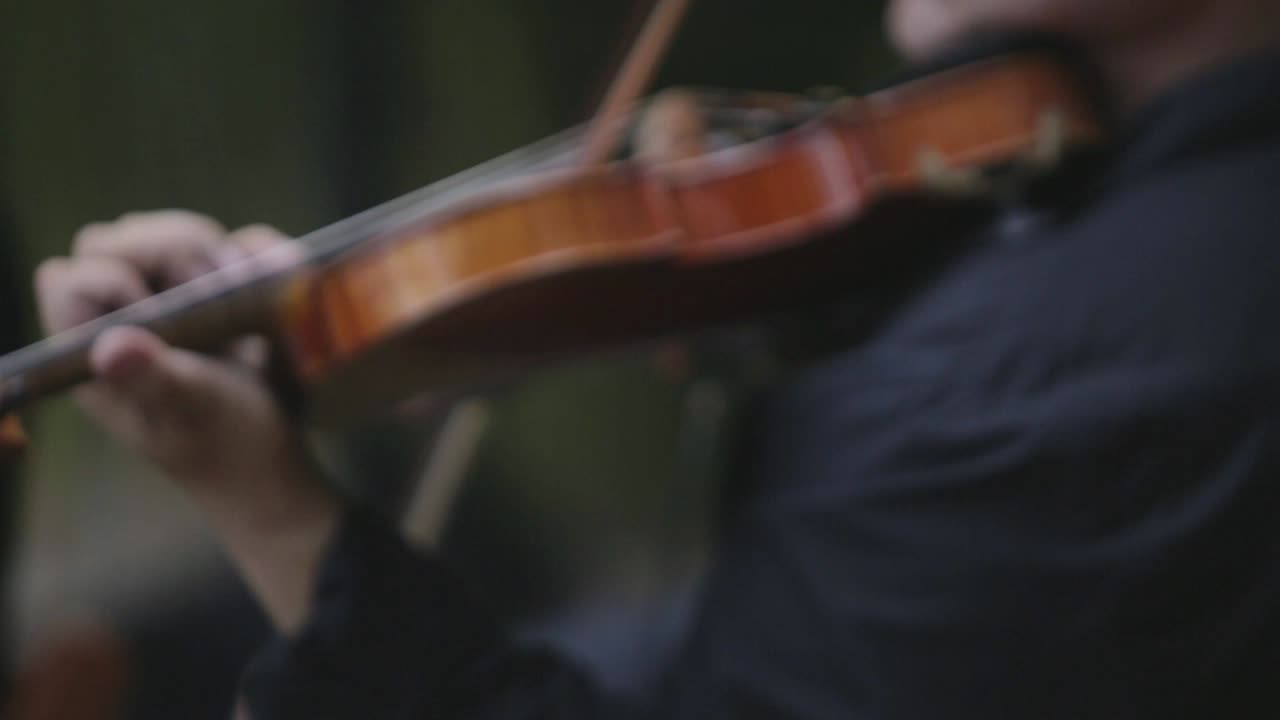 Anonymous musician playing violin