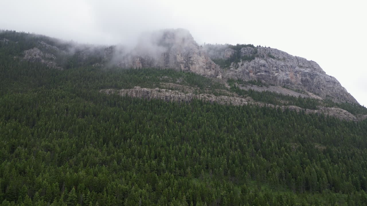 árboles de hoja perenne desde arriba hasta las montañas brumosas en un día nublado