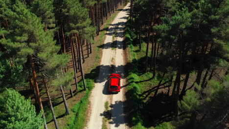 red car driving on a dirt road through a pine forest (aerial view)