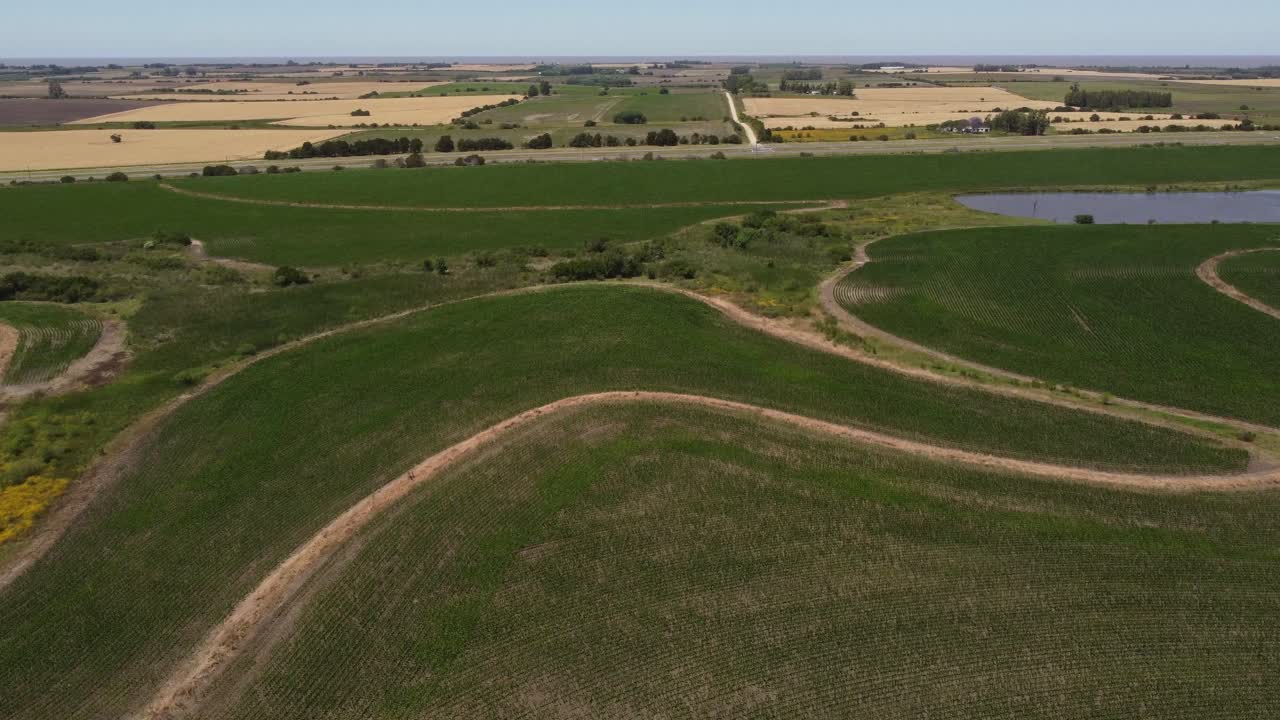 sobrevuelo aéreo campos agrícolas verdes con cultivo y ecosistema rural en verano