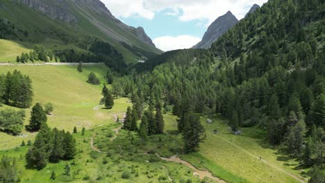 Hermoso-Paisaje-De-Montaña-Con-árboles-Y-Un-Campo-Verde