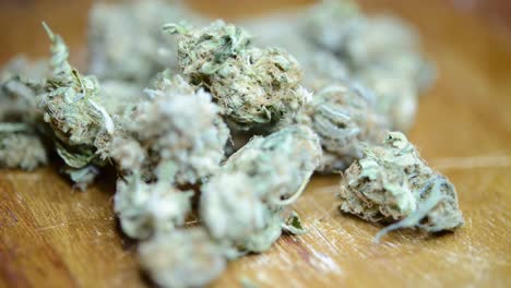 primer plano rotativo marihuana cogollos de malezas cultivadas orgánicamente con la mano