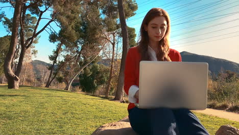 una feliz, atractiva, joven, mujer caucásica en el parque, escribiendo en su computadora portátil