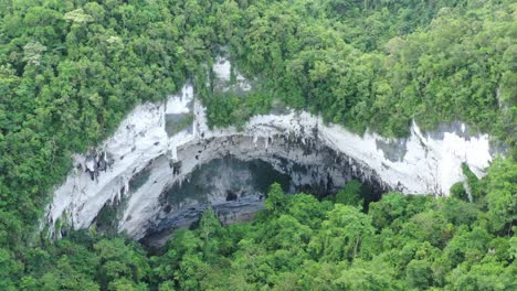 mirando hacia abajo en la apertura de la cueva de la selva de filipinas en medio del bosque
