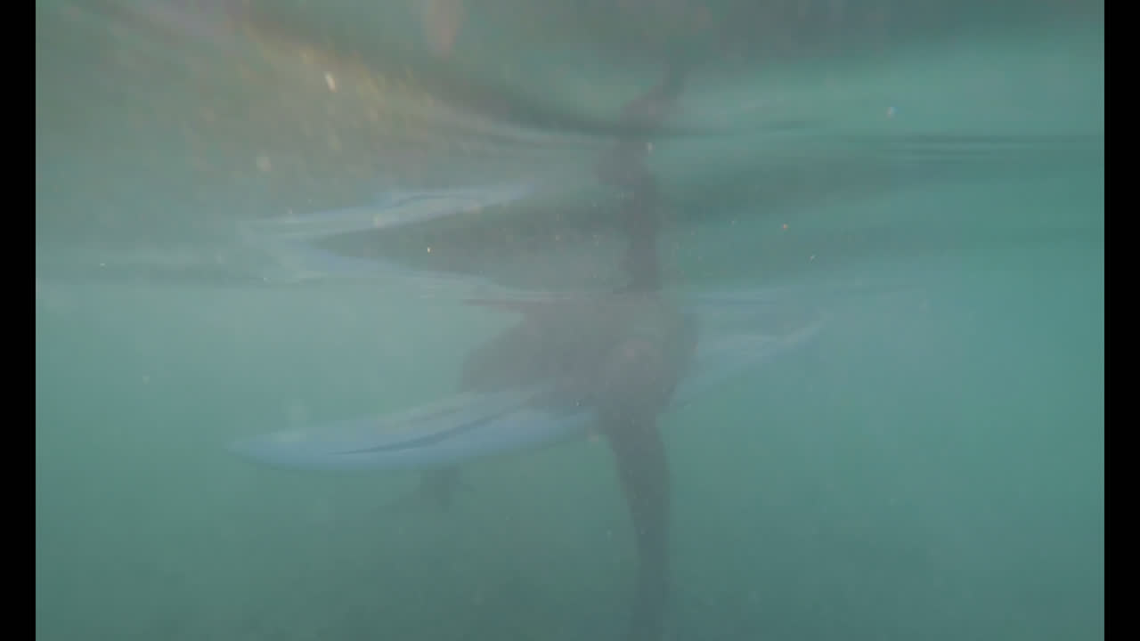 surfista con tabla de surf surfando en agua de mar 4k