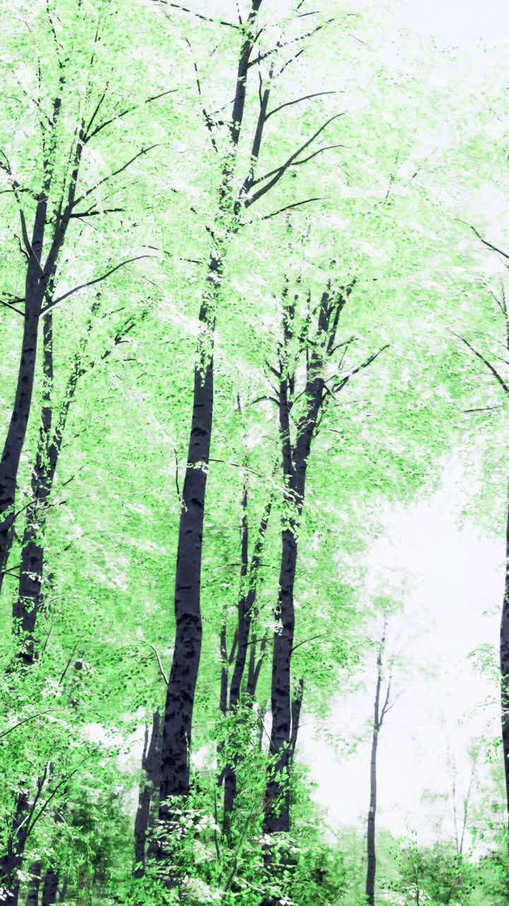 Lush green trees reaching for the sky in a serene forest setting