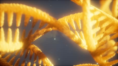 double helical structure of dna strand close-up animation
