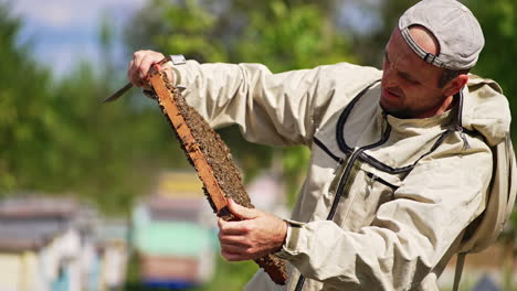 a heavy frame covered with worker bees in the hands of a caucasian man. adult beekeeper holds the frame to the sun to check it better.