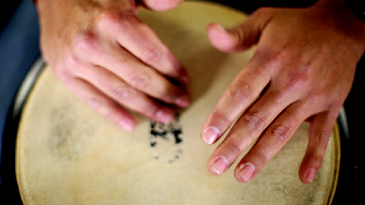 circuito del congo 31