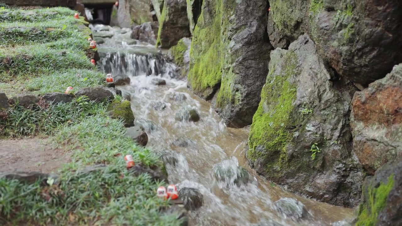 Boneka Daruma merah kecil menghiasi tepi berbatu sungai yang mengalir di Kuil Katsuoji, dikelilingi oleh pemandangan taman Jepang yang rimbun di Osaka.