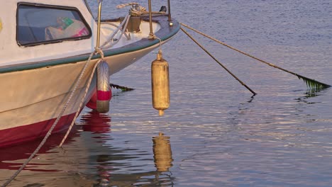 nose of rope-tied recreational boat in harbor