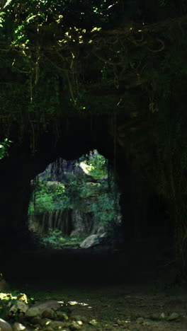illuminated cave entrance amidst lush greenery during daylight hours
