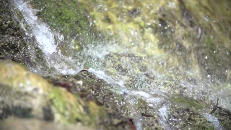 primer plano a cámara lenta de una cascada con gotas de agua, 25p, wasserfall dreimühlen, eifel