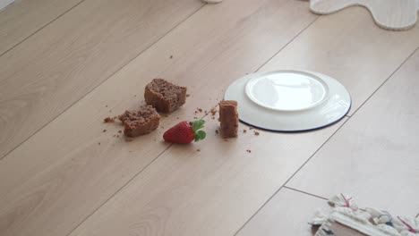 crumbs and a strawberry on the floor