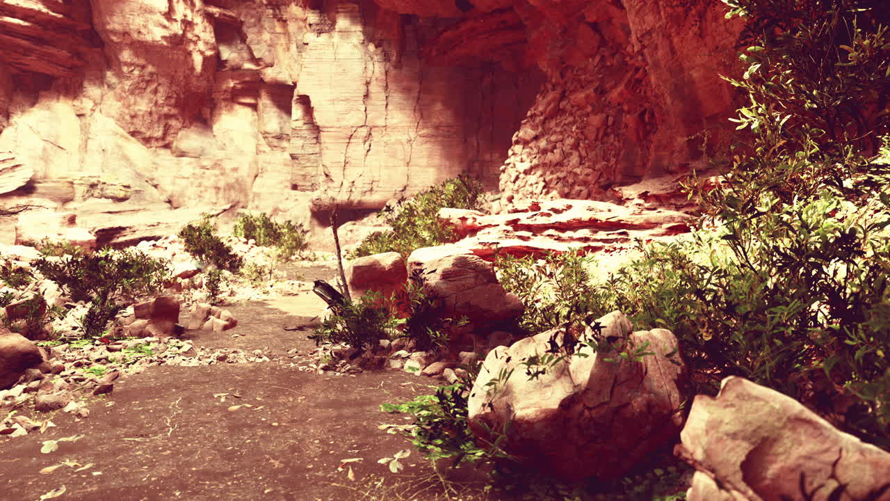 하와이 의 열대 우림 에서 큰 동굴 으로 이어지는 길